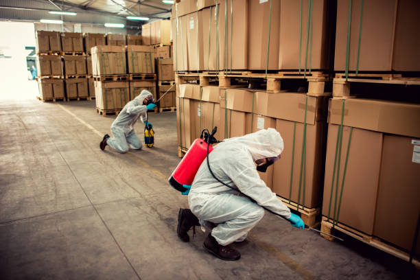 Best Emergency Pest Control  in Collinsvle, IL