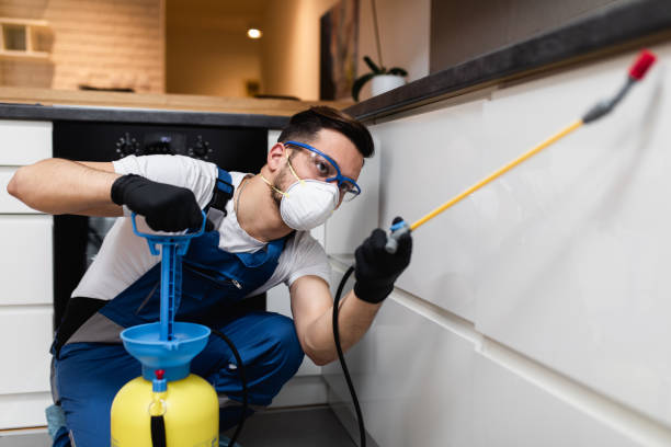 Best Wasp Removal Services  in Collinsvle, IL