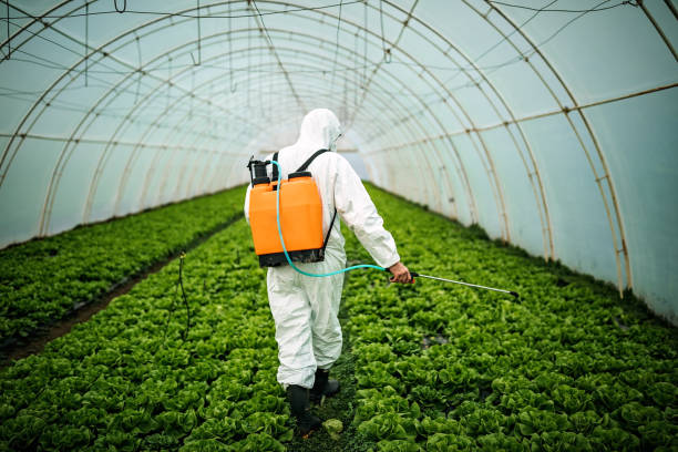 Best Mosquito Control Services  in Collinsvle, IL