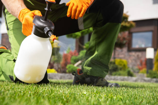 Best Bed Bug Extermination  in Collinsvle, IL