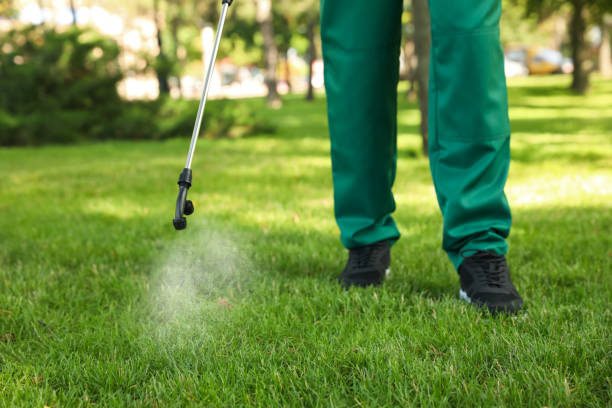 Best Wildlife Control Services  in Collinsvle, IL