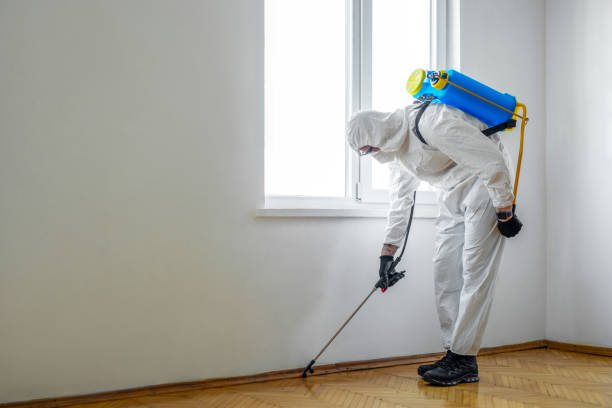 Best Ant Control Services  in Collinsvle, IL