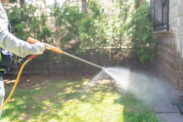 Best Residential Pest Control  in Collinsvle, IL