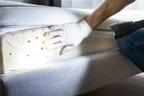 Best Exterminator Services  in Collinsvle, IL
