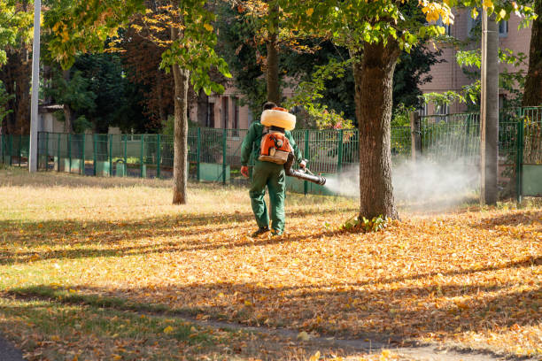 Best Best Pest Control Companies  in Collinsvle, IL