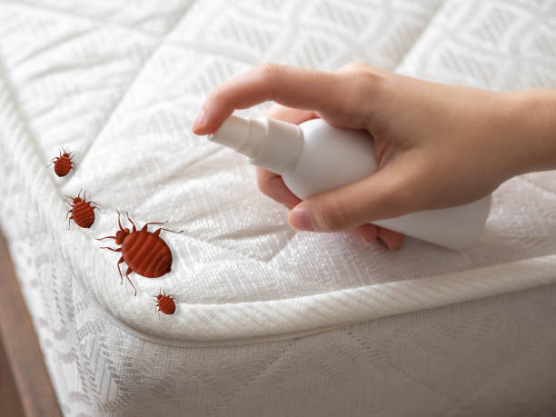 Best Pest Control Treatment  in Collinsvle, IL