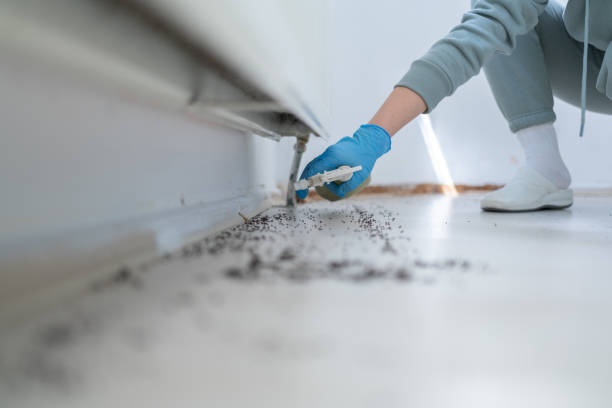 Best Pest Inspection Near Me  in Collinsvle, IL